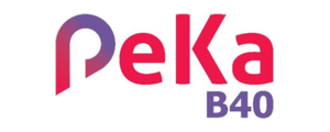 Peka B40 panel logo